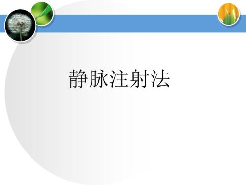 静脉注射法.ppt