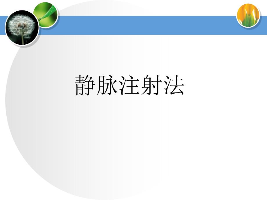 静脉注射法.ppt_第1页