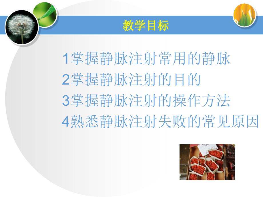 静脉注射法.ppt_第2页