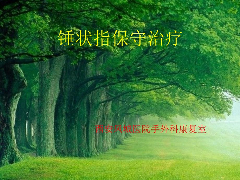 锤状指的保守治疗.ppt_第1页