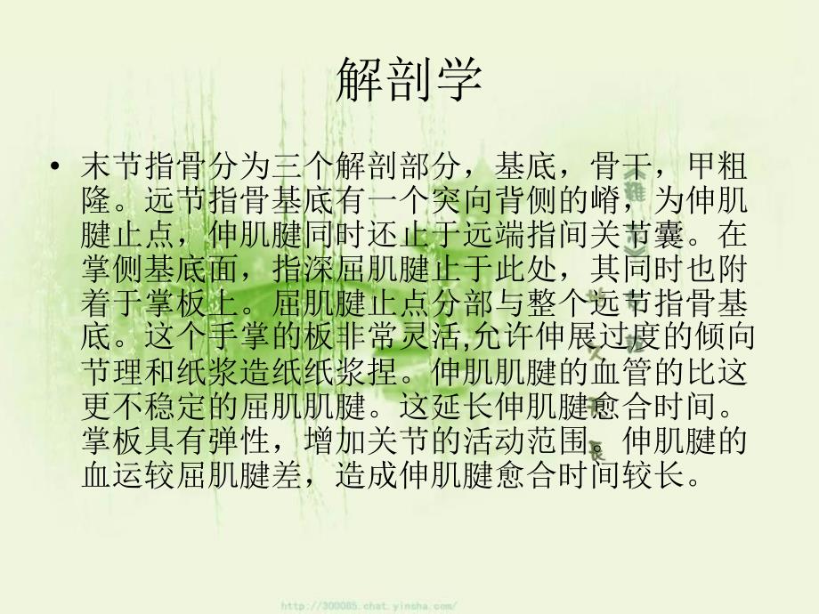 锤状指的保守治疗.ppt_第2页