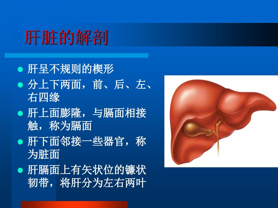 肝脏的影像学解剖及CT诊断PPT课件.ppt_第3页