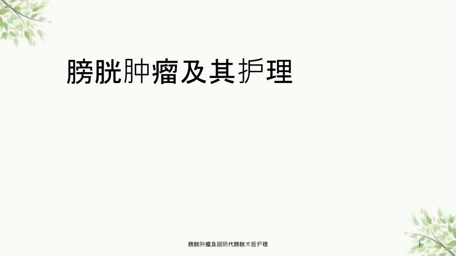 膀胱肿瘤及回肠代膀胱术后护理课件.ppt_第1页