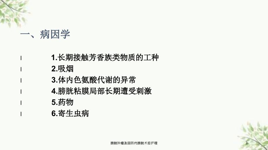膀胱肿瘤及回肠代膀胱术后护理课件.ppt_第3页