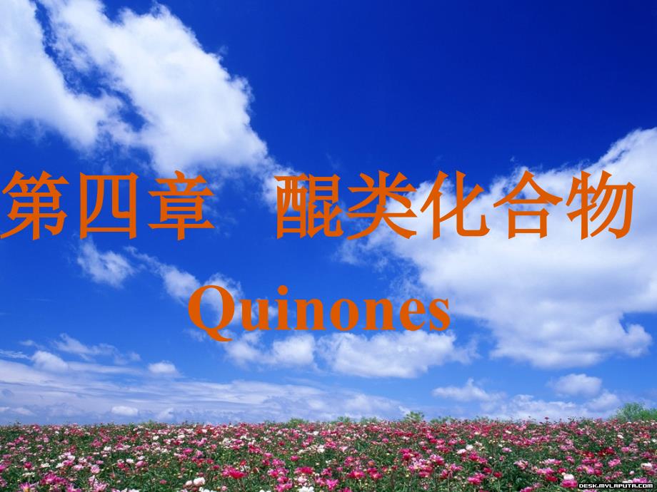 醌类化合物.ppt_第1页