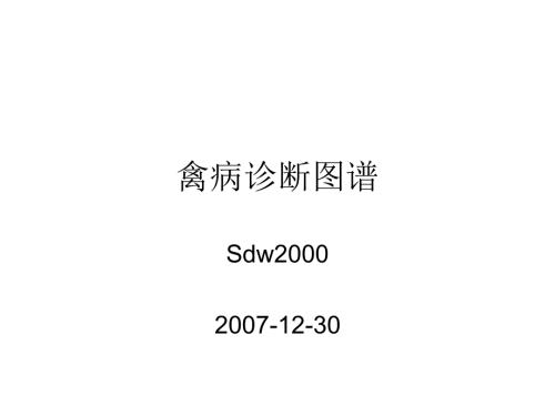 禽病诊断图谱PPT课件.ppt