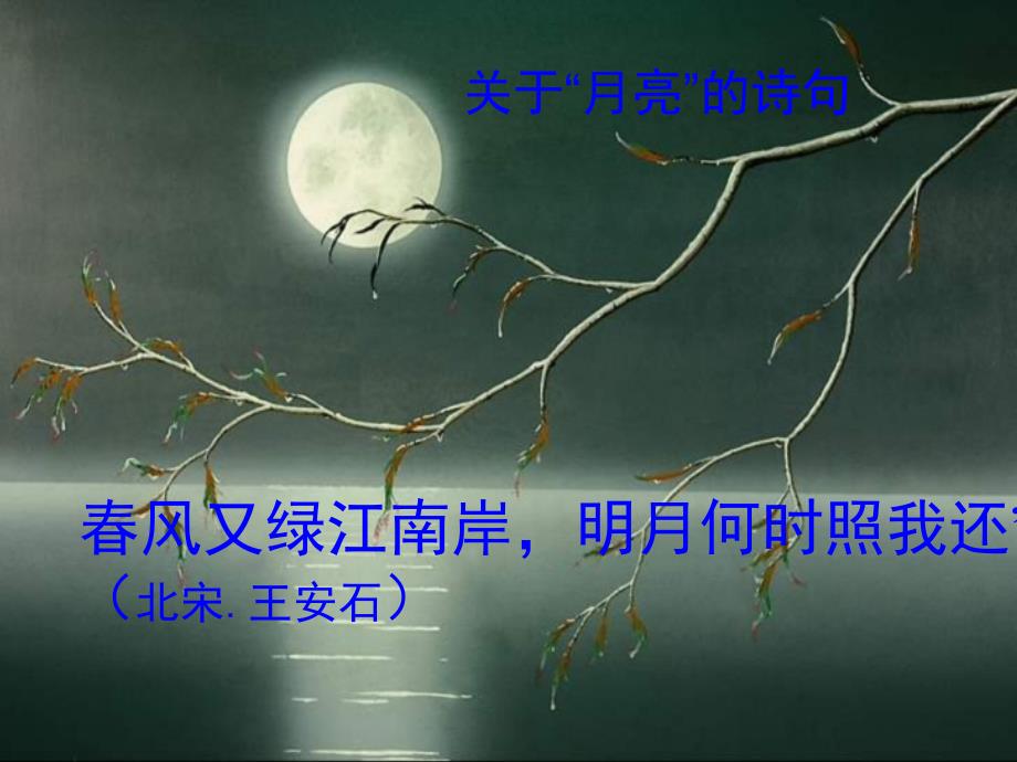 第23课记承天寺夜游共18张PPT.ppt_第3页