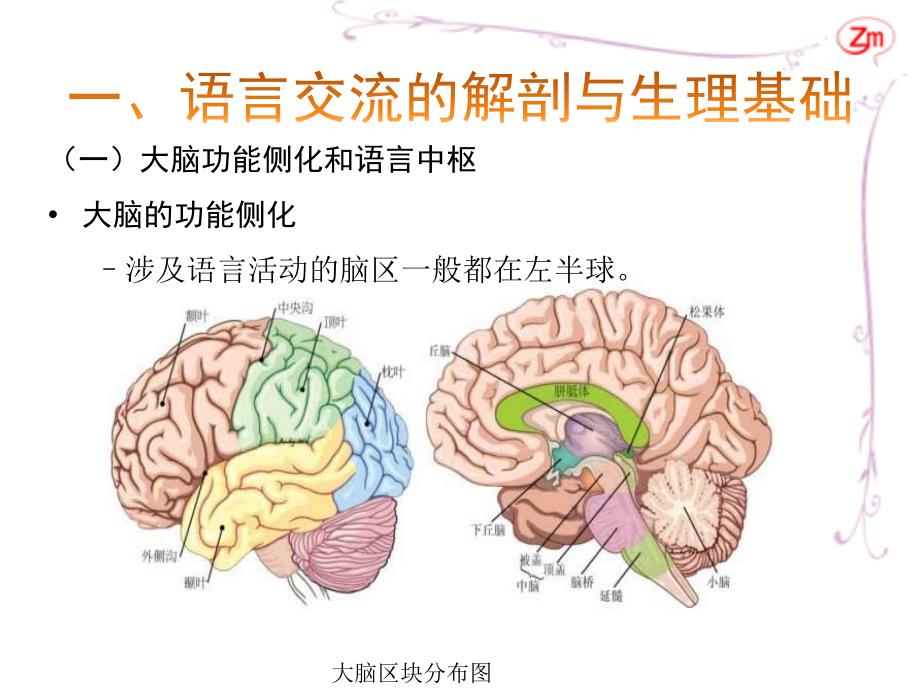 语言交流的基础PPT课件.ppt_第2页