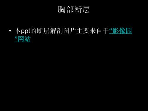 胸部断层解剖.ppt