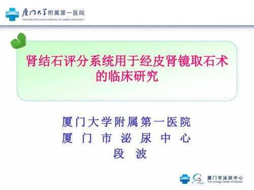 肾结石评分系统在PCNL术中的应用现状ppt课件.ppt