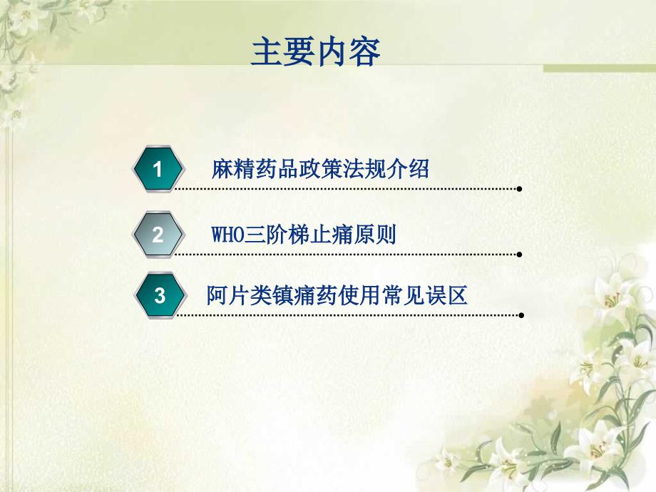 麻醉药品和精神药品培训课件.ppt_第3页