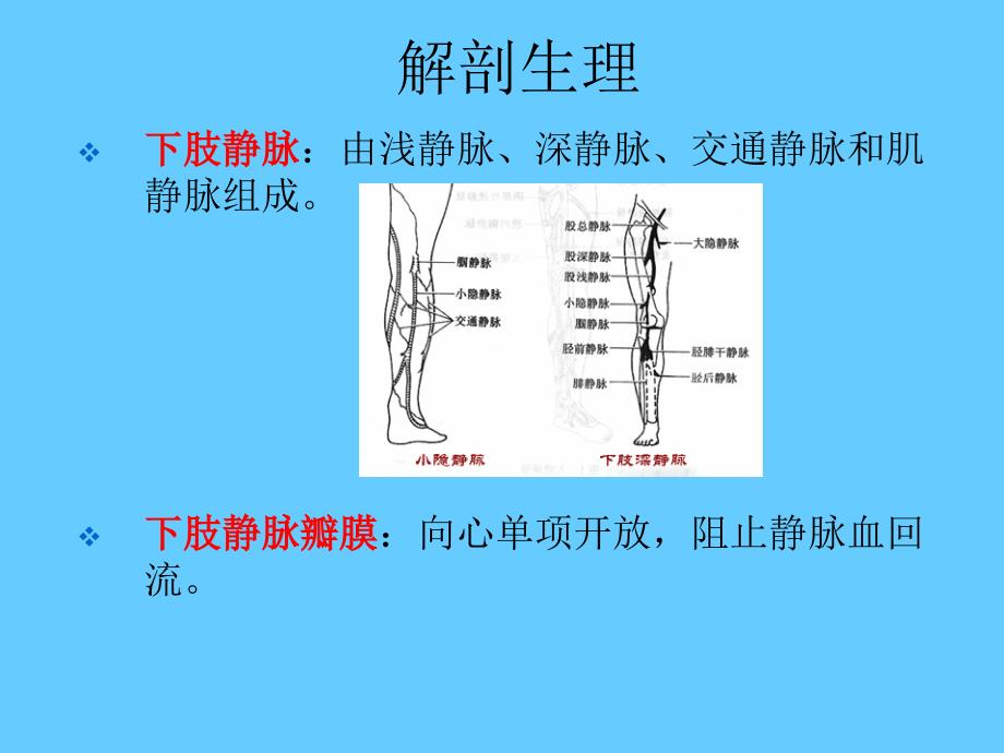 静脉曲张课件PPT.ppt_第3页