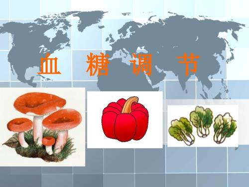 血糖调节ppt课件.ppt