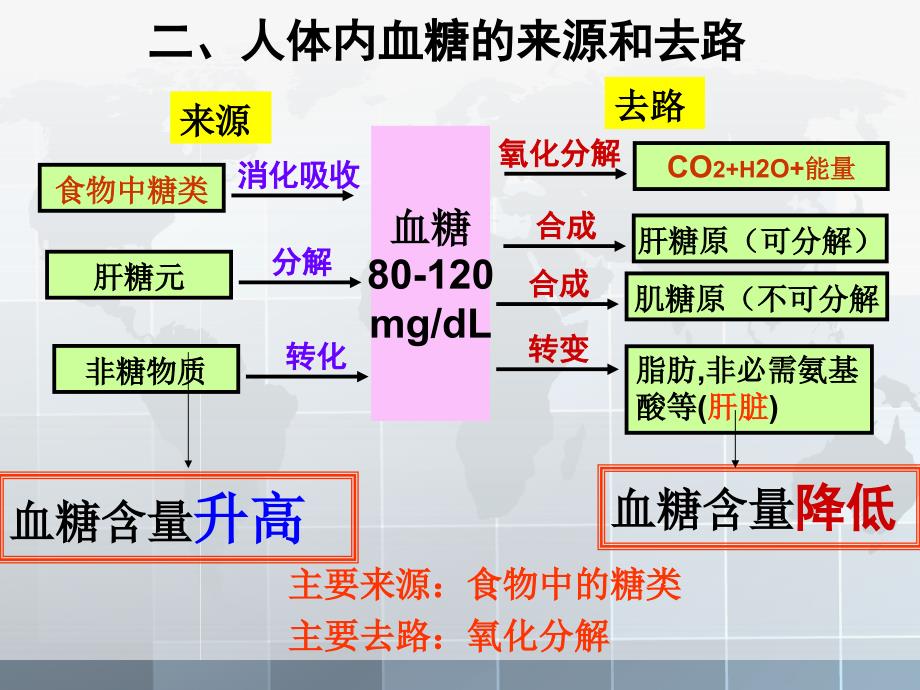 血糖调节ppt课件.ppt_第3页