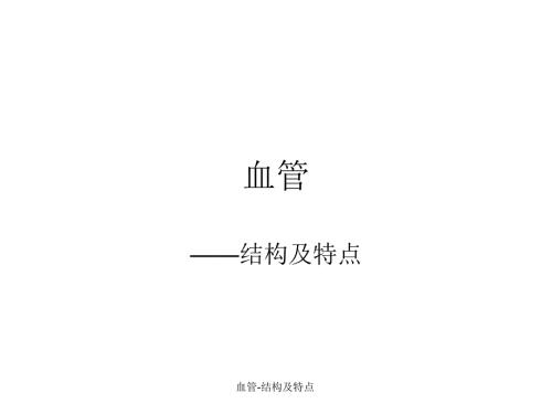 血管结构及特点经典实用.ppt