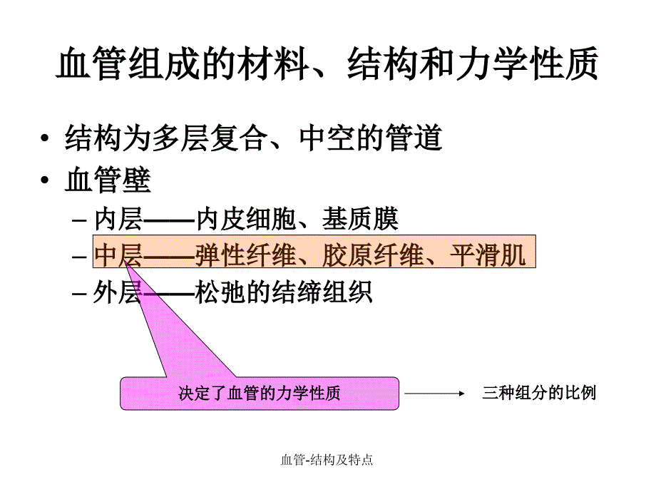 血管结构及特点经典实用.ppt_第3页