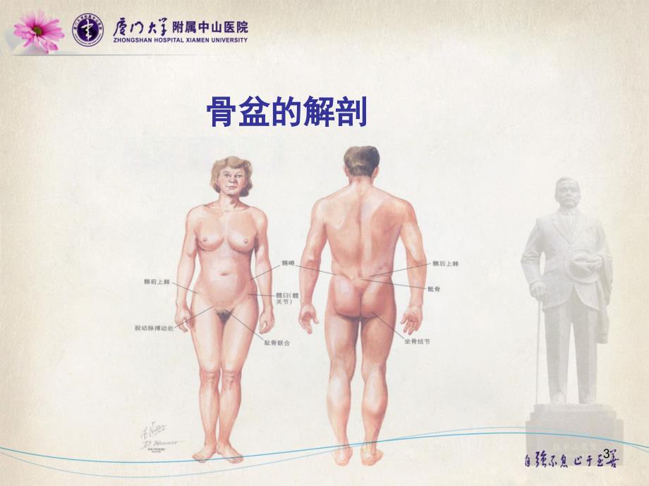 骨盆与髋臼骨折ppt课件.ppt_第3页