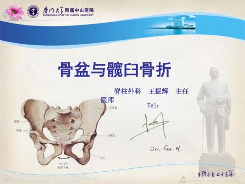 骨盆与髋臼骨折ppt课件.ppt