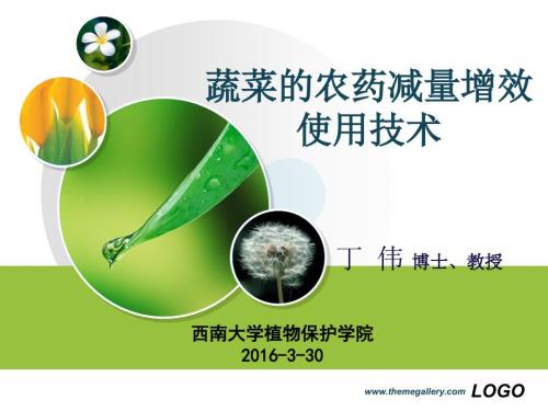 蔬菜农药减量增效技术.ppt