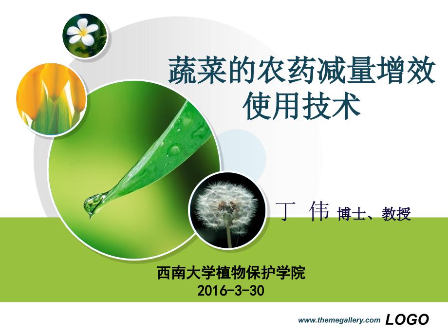 蔬菜农药减量增效技术.ppt_第1页