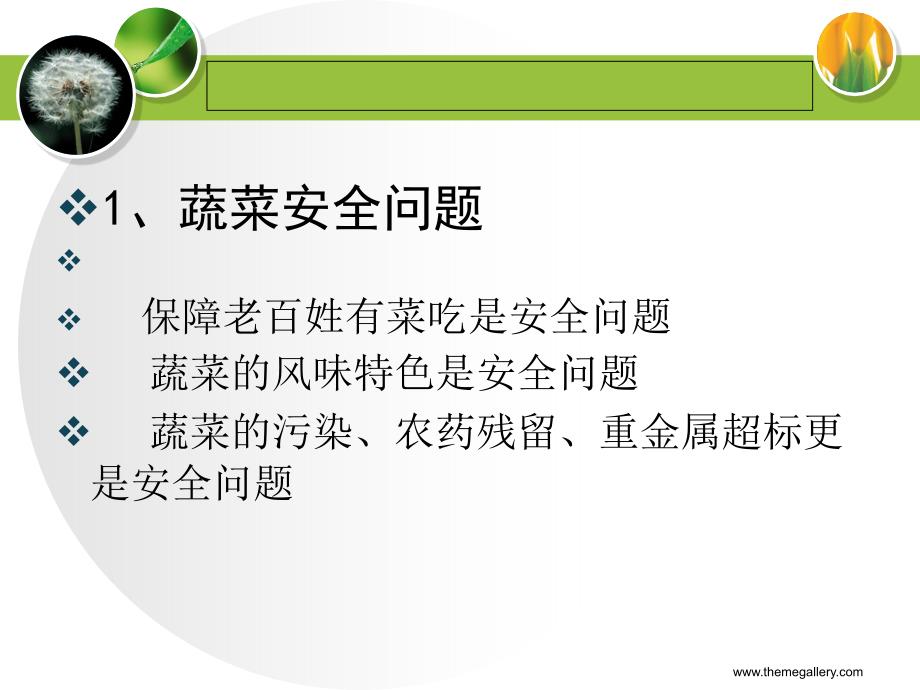 蔬菜农药减量增效技术.ppt_第3页