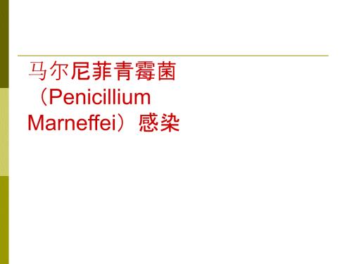 马尔尼菲青霉菌马尔尼菲蓝状菌感染.ppt