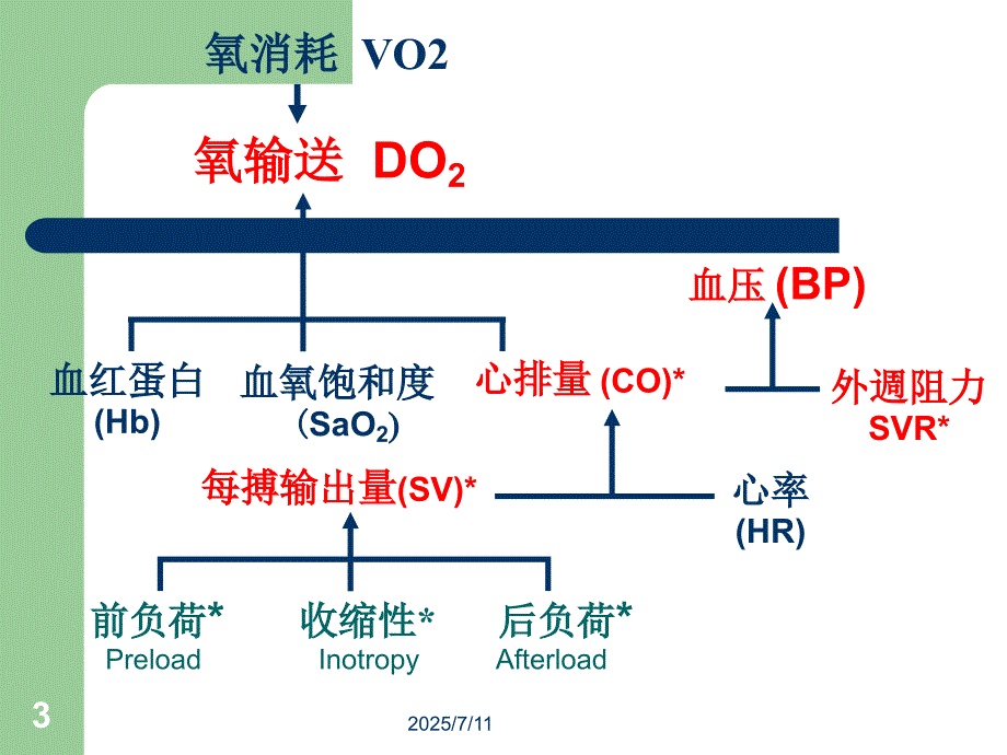 血流动力学监测PPT课件.ppt_第3页