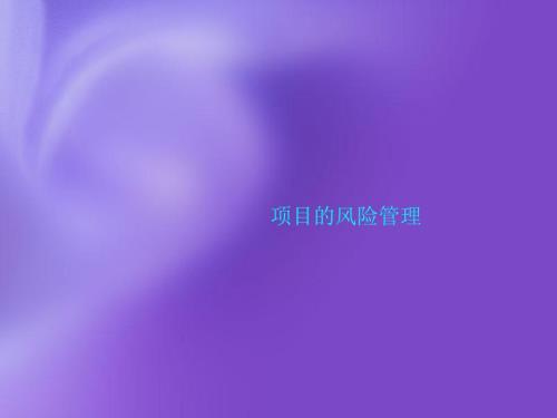 项目的风险管理PPT课件.ppt