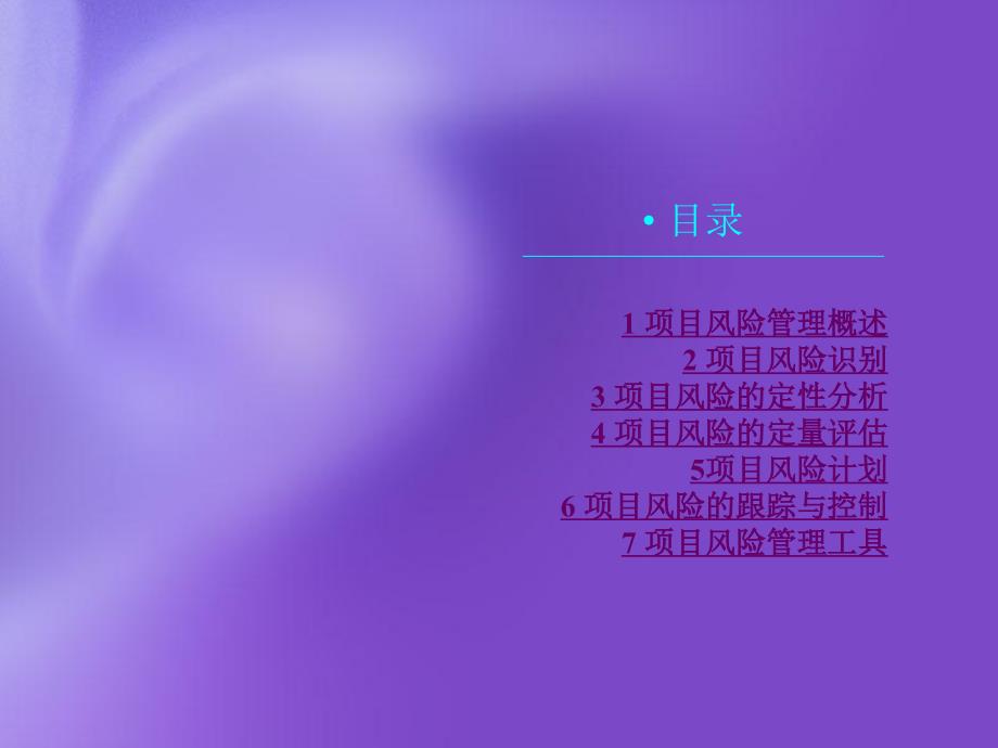 项目的风险管理PPT课件.ppt_第2页