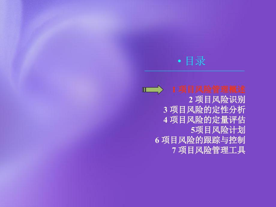 项目的风险管理PPT课件.ppt_第3页