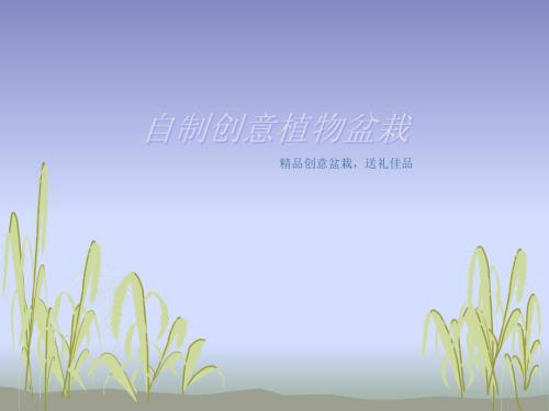 自制创意植物盆栽.ppt