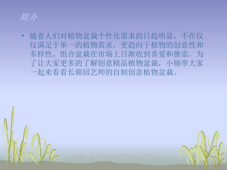自制创意植物盆栽.ppt_第2页