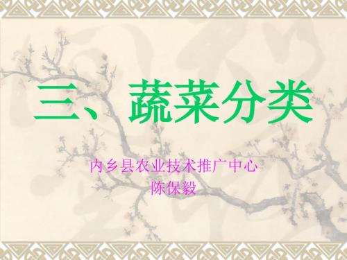 蔬菜分类PPT课件.ppt