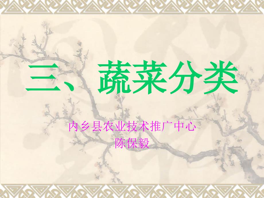 蔬菜分类PPT课件.ppt_第1页