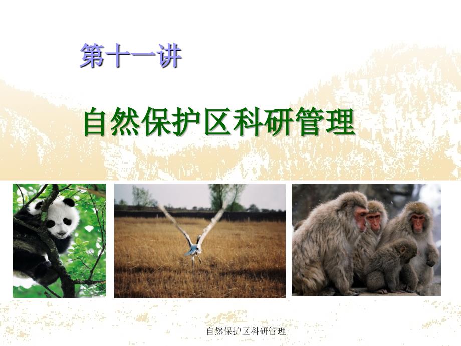 自然保护区科研管理课件.ppt_第1页
