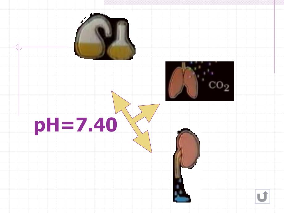 酸碱平衡失调的护理.ppt_第3页