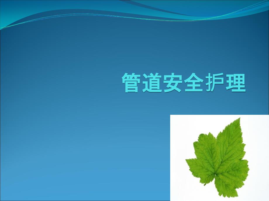管道的安全护理.ppt_第1页