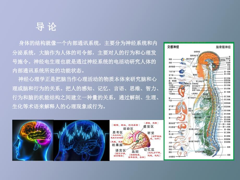 肌电图和诱发电位讲座.pptx_第2页
