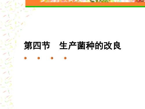 菌种改良PPT课件.ppt