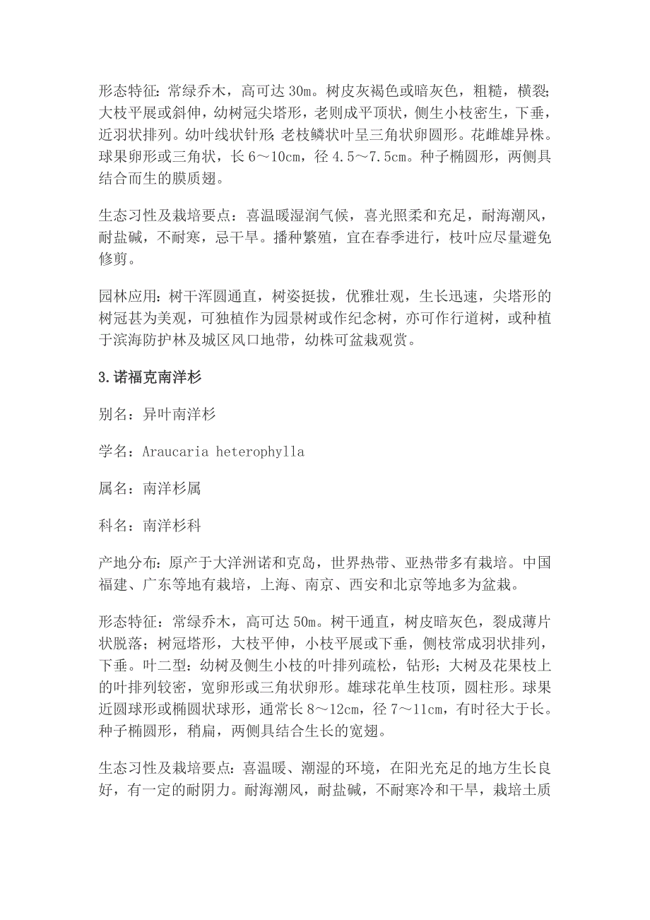 福建沿海抗风耐盐碱绿化常用园林植物介绍.doc_第2页