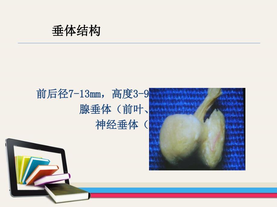 腺垂体功能减退症PPT课件.ppt_第3页