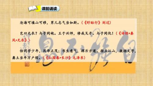 部编版五年级上册语文少年中国说共47张PPT.pptx