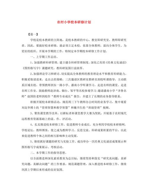 精编农村小学校本研修计划.doc