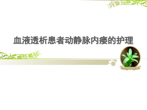血液透析患者动静脉内瘘的护理ppt课件.pptx