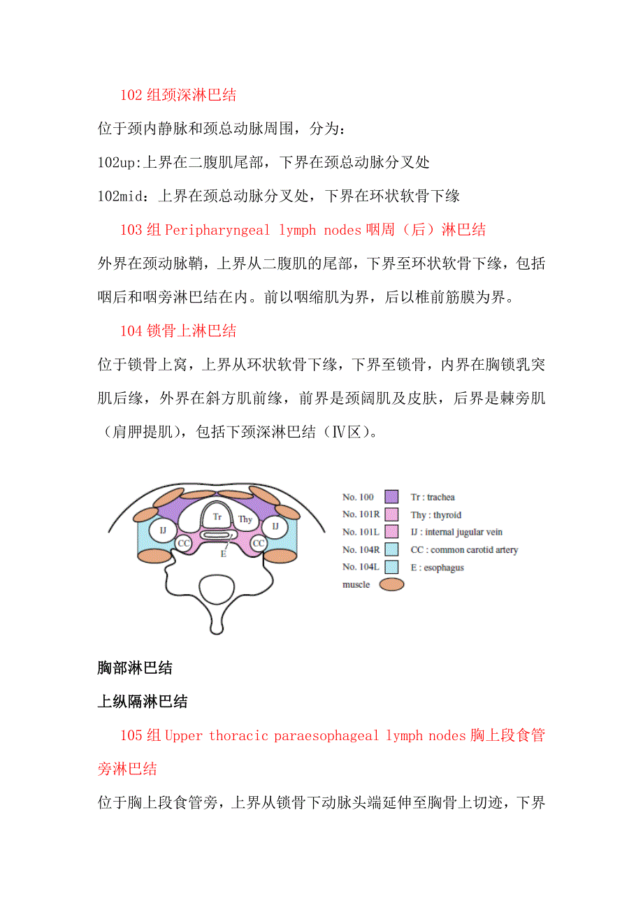 食管癌淋巴结解剖及CT定义山东省肿瘤医院经验.doc_第2页