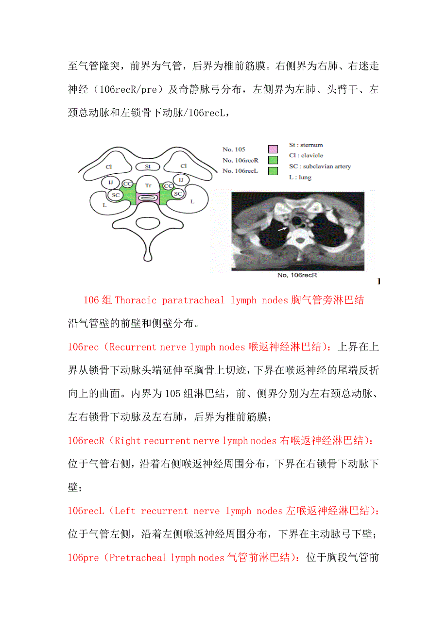 食管癌淋巴结解剖及CT定义山东省肿瘤医院经验.doc_第3页