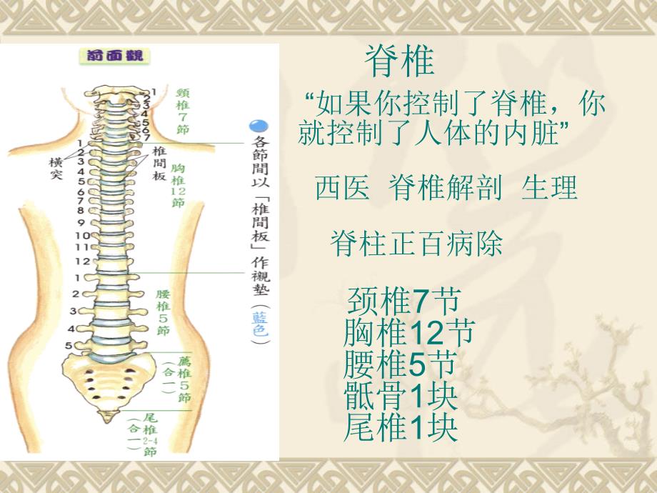肩颈专业知识PPT课件.ppt_第2页
