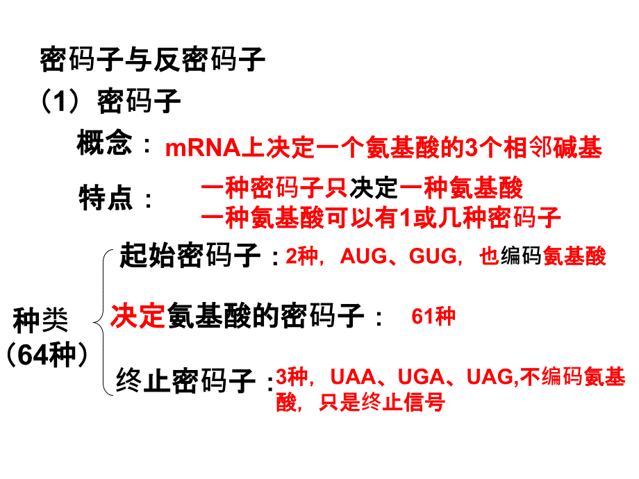 种RNA示意PPT课件.ppt_第3页