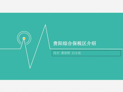 贵阳综合保税区介绍.ppt