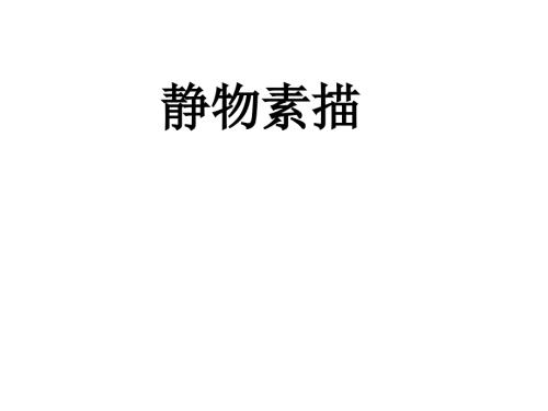 静物素描PPT课件.pptx